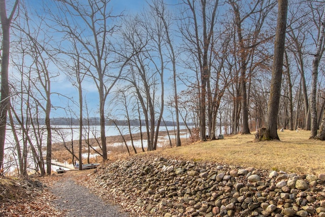 view of yard with a water view