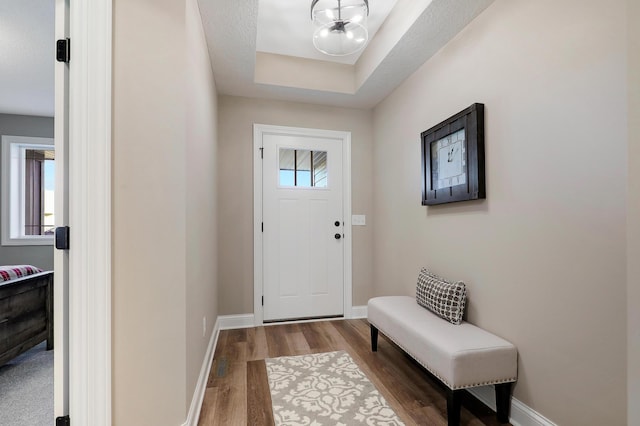 foyer entrance with a tray ceiling, hardwood / wood-style floors, a textured ceiling, and plenty of natural light