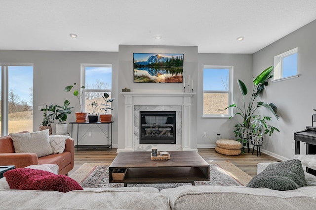 living room with hardwood / wood-style floors, plenty of natural light, and a fireplace