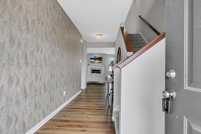 foyer entrance featuring hardwood / wood-style flooring