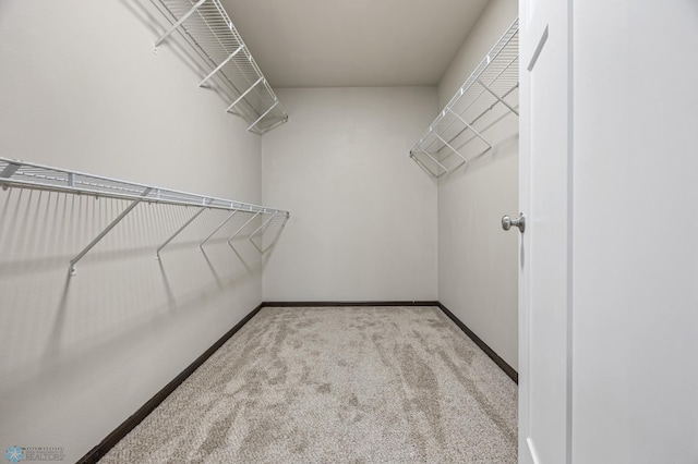 walk in closet featuring light carpet