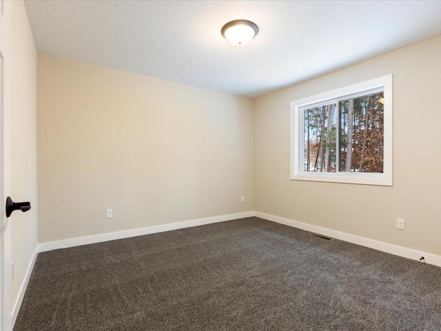 empty room featuring carpet floors