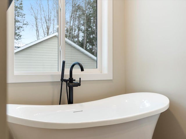 room details featuring a freestanding tub and a sink