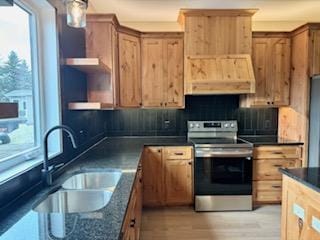 kitchen with sink, tasteful backsplash, range hood, electric stove, and light wood-type flooring