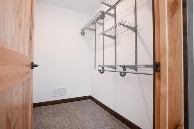 spacious closet featuring visible vents and carpet floors