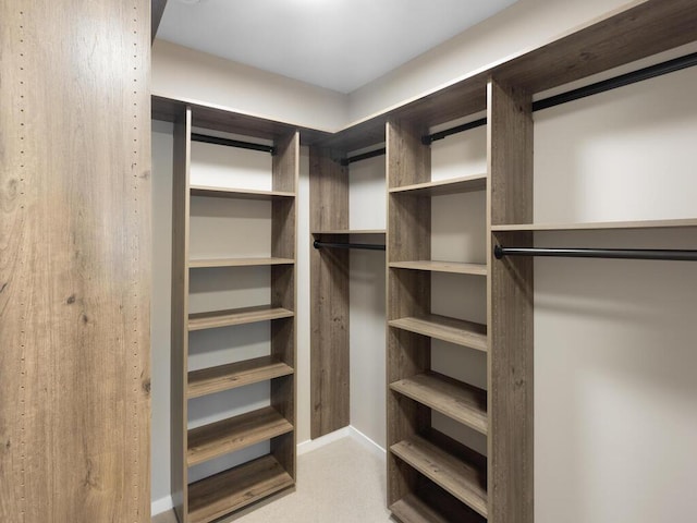 walk in closet with light colored carpet