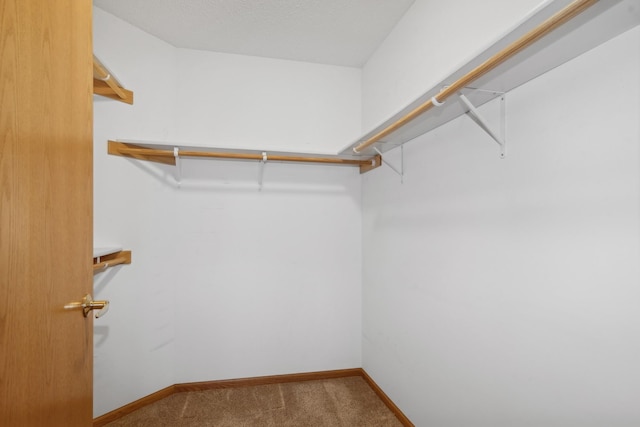 walk in closet with carpet