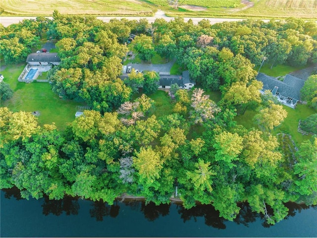 42150 County Road 1, Rice, MN 56367 - view of property location featuring rural landscape, a nearby body of water, and a tree filled landscape