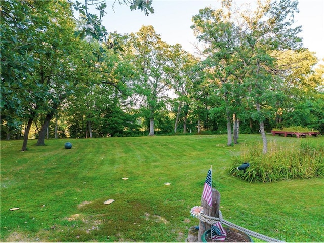 42150 County Road 1, Rice, MN 56367 - view of green lawn featuring view of wooded area