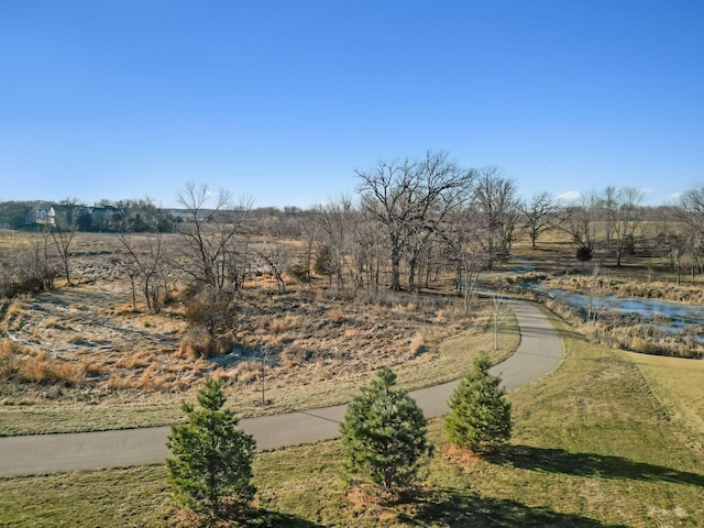 view of yard with a rural view