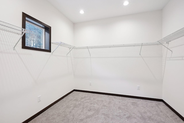 spacious closet featuring carpet flooring