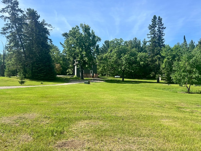 view of property's community featuring a yard