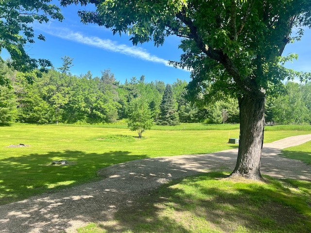 view of community with a yard