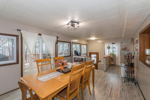 dining room with light hardwood / wood-style floors