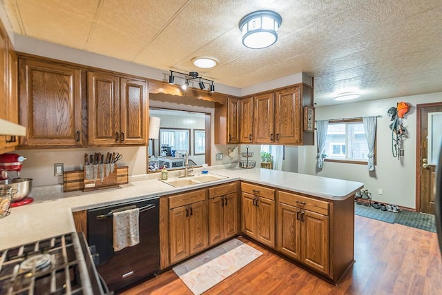 kitchen featuring kitchen peninsula, wood-type flooring, black dishwasher, and sink