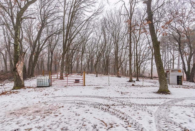 view of yard layered in snow