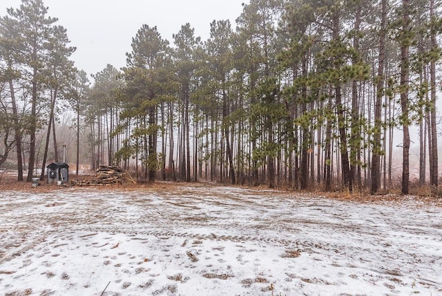 view of snowy landscape