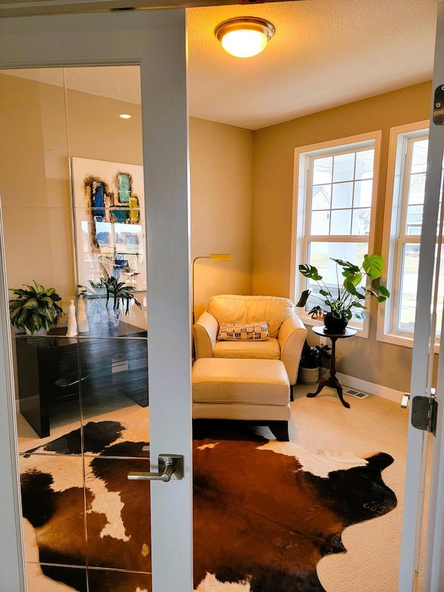 sitting room featuring plenty of natural light