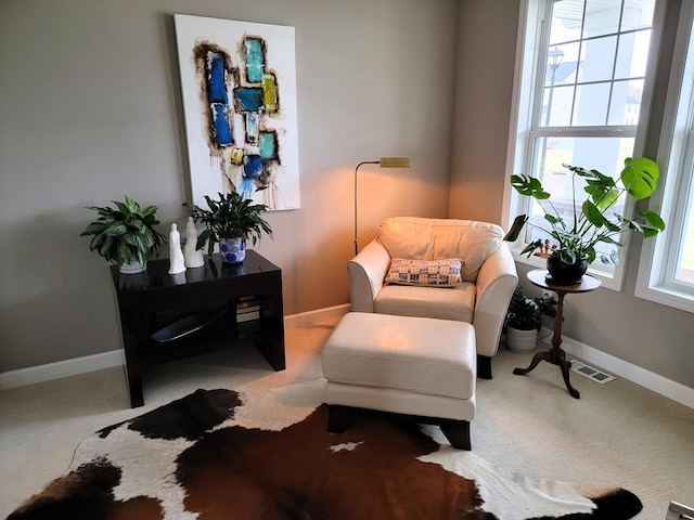 sitting room with carpet flooring