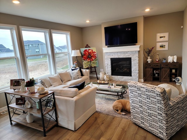 living room with a fireplace and hardwood / wood-style flooring