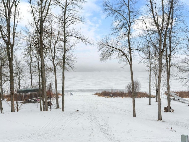 view of snowy yard