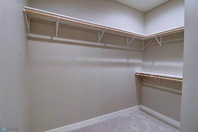 walk in closet featuring light colored carpet