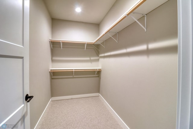 spacious closet featuring carpet flooring