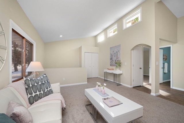 living room featuring carpet and a high ceiling