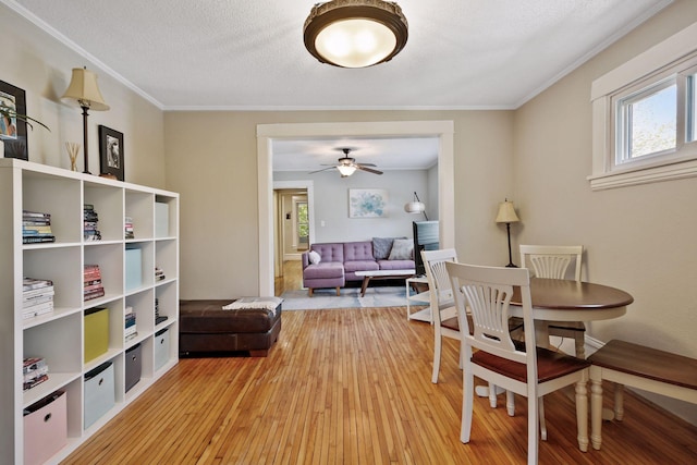 sitting room with a textured ceiling, light hardwood / wood-style floors, ceiling fan, and crown molding