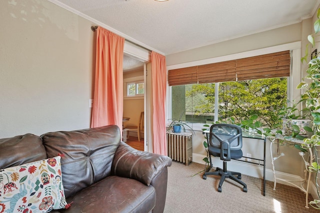 home office with carpet, a textured ceiling, and radiator