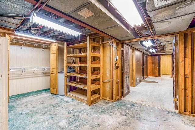 basement featuring wood walls