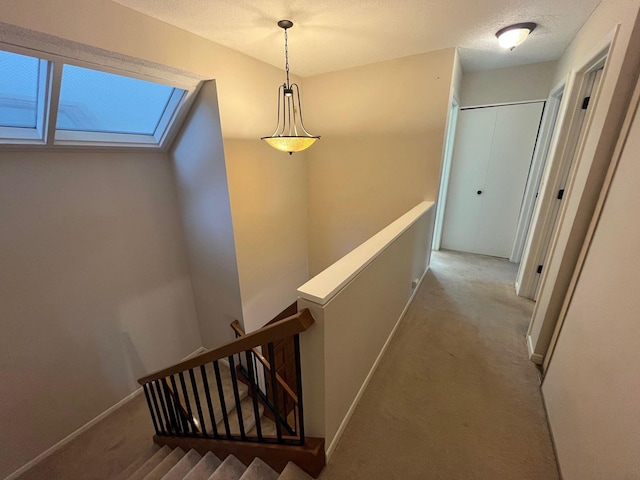 corridor featuring light colored carpet and a textured ceiling