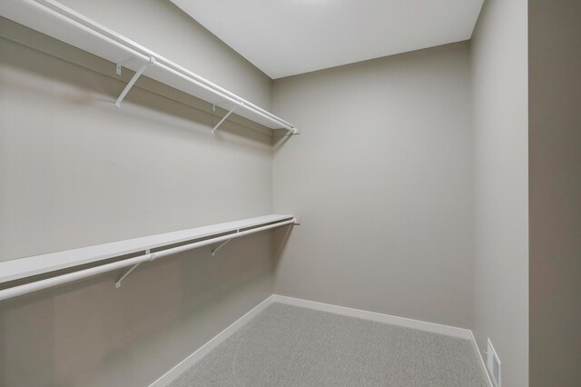 walk in closet with carpet