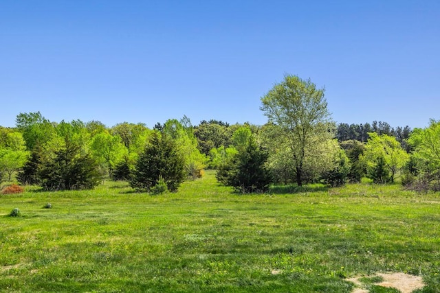 view of woods
