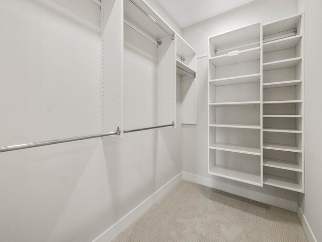 spacious closet featuring light colored carpet