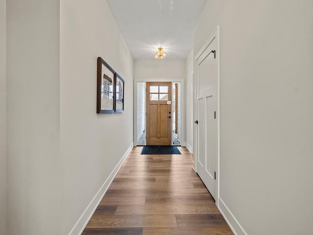 entryway featuring wood-type flooring