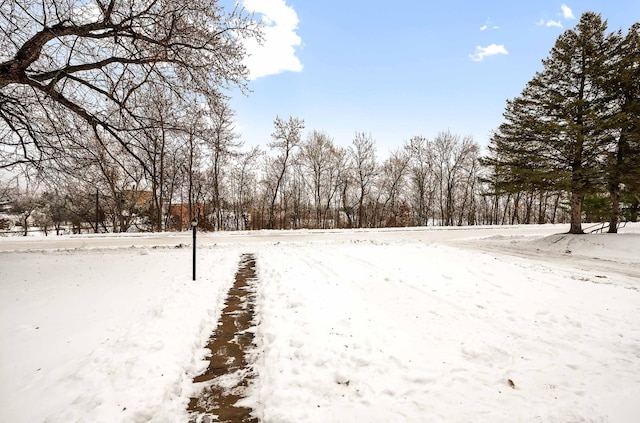 view of yard layered in snow