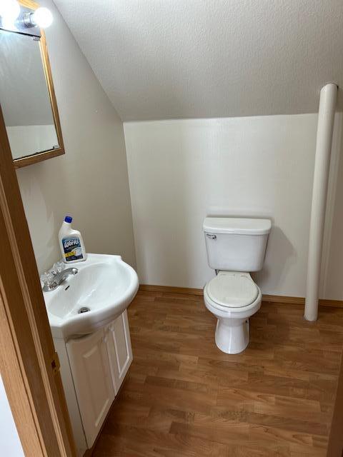 bathroom with wood-type flooring, a textured ceiling, toilet, and sink