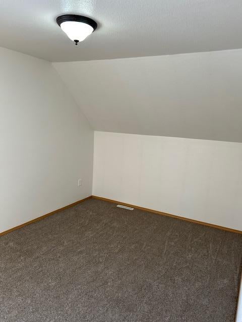 additional living space featuring a textured ceiling, carpet floors, and lofted ceiling