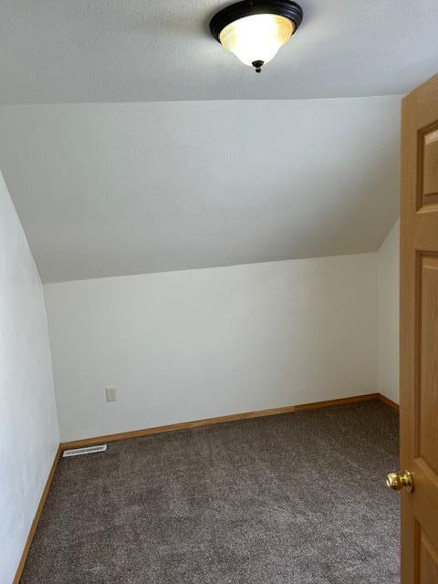 additional living space featuring carpet and vaulted ceiling