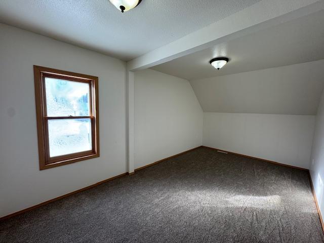 additional living space with lofted ceiling, dark colored carpet, a textured ceiling, and baseboards