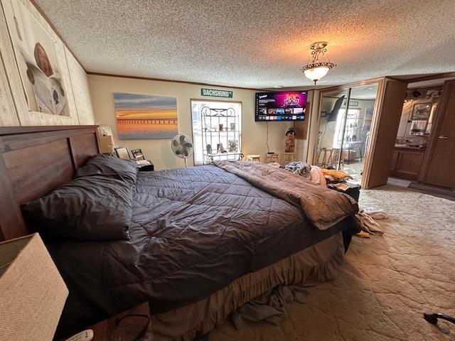 carpeted bedroom with a textured ceiling and multiple windows