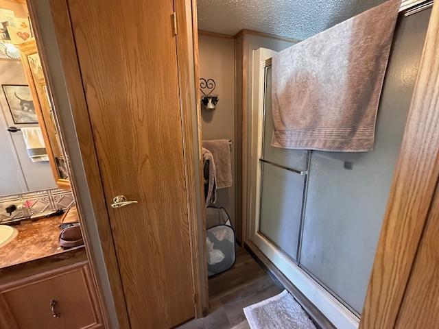 bathroom with vanity, a textured ceiling, and a shower with door