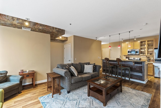 living room featuring light hardwood / wood-style floors and track lighting