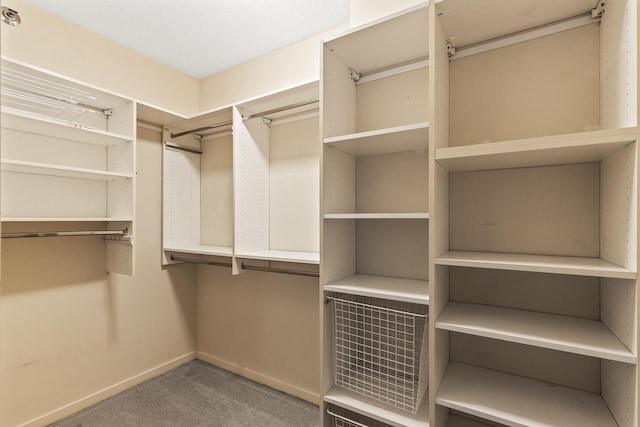 walk in closet with carpet floors