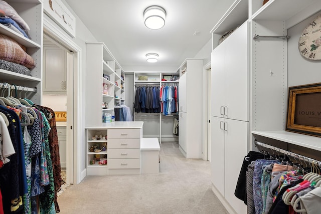 3175 Tuckborough Trl, Medina, MN 55356 - spacious closet with light colored carpet