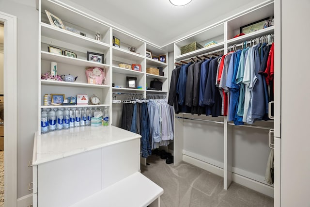 3175 Tuckborough Trl, Medina, MN 55356 - spacious closet with carpet flooring