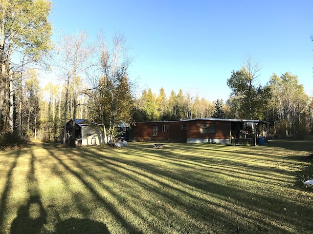 view of yard featuring a storage shed