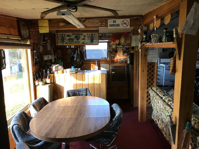 dining room with a workshop area and a healthy amount of sunlight