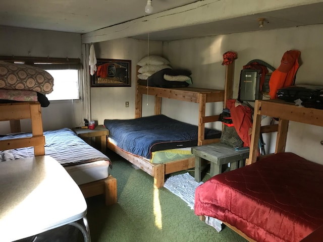 bedroom featuring carpet floors